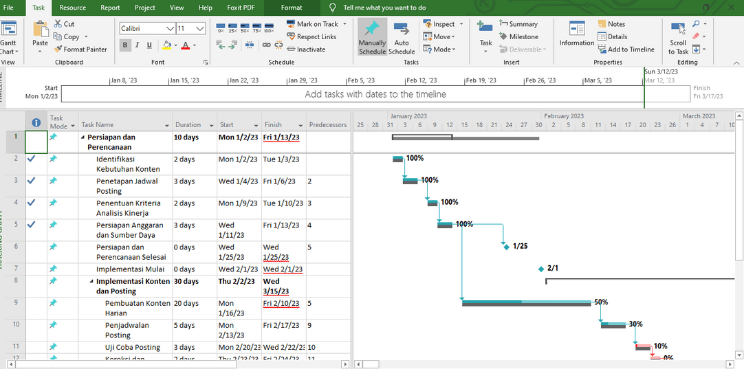 Microsoft Project plan with tasks, durations, dependencies and Gantt bars showing progress